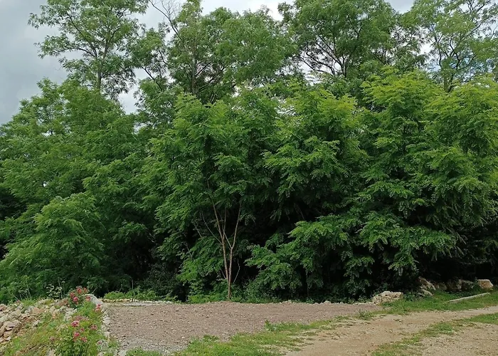 Apartman Ame De La Nature Nedeščina